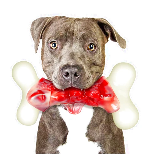 DEBAK Dog Toys for Aggressive Chewers, Indestructible Large Dogs,Real Bacon Flavored,Dog Chew Toy Bones Medium/Large Breed Dogs,Best to Keep Them Busy (L)