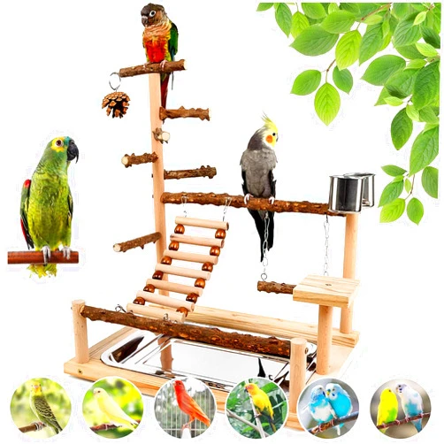 Bygytyo Bird Playground, Parrot Perch Stand, Natural Wood Bird Play Stands for Cockatiel Wood Perch Gym Playpen Ladder with Removable Tray and 2 Stainless Steel Cups, Bird Cage Accessories, Parrot Swing
