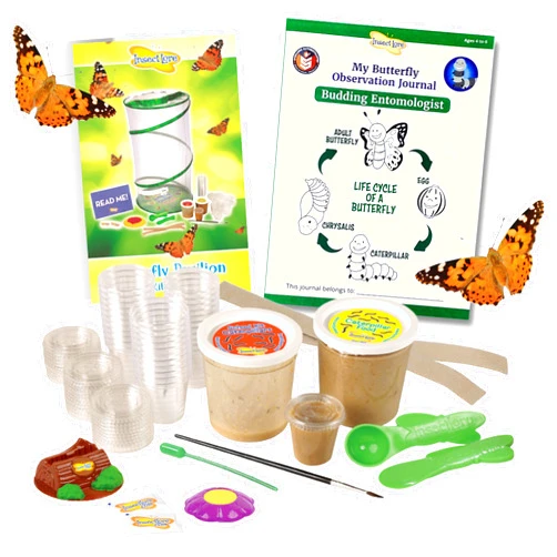 Insect Lore School Kit Refill with 33 Live Caterpillars | STEM Activity Journal & 33 Live Baby Painted Lady Butterfly Caterpillars | Cups & Tools Included