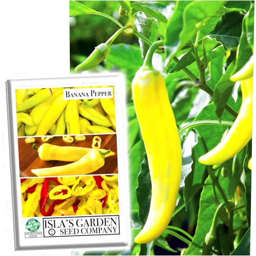 Isla's garden seeds Banana Pepper Seeds for Planting, 100+ Heirloom Seeds Per Packet, (Isla's Garden Seeds), Non GMO Seeds, Other Name: Yellow Wax Pepper/Banana Chilies, Scientific Name: Capsicum annuum