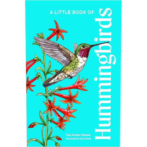 By Tara Austen Weaver (Author), Emily Poole (Illustrator) A Little Book of Hummingbirds (Little Book of Natural Wonders)
