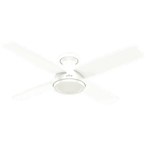 Hunter Fan Company 59248 Dempsey Indoor Low Profile Ceiling Fan with Remote Control, 52
