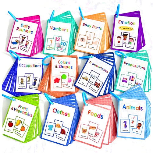 Lachilly 12 Themes Learning Flashcards, High Frequency Words, Beginning Reading, Kindergarten to 1st Grade, ESL Teaching Materials, Autism Learning Materials, Vocabulary Building, 205 Cards, 386 Words