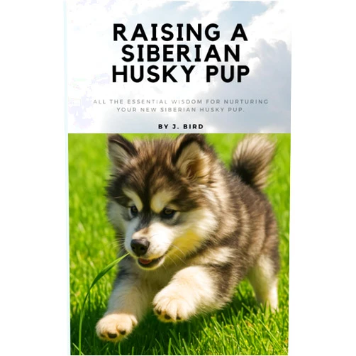 By J. Bird (Author), J.L. Bernhard (Author) Raising A Siberian Husky Pup: All The Essential Wisdom for Nurturing your new Siberian Husky pup
