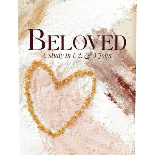 Donna D Gaines,Jean W Stockdale,Dayna C Street,Angie S Wilson,Abbey A Dane Beloved: A Study in 1, 2, and 3 John