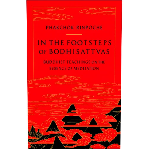Phakchok Rinpoche,Chokyi Nyima Rinpoche In the Footsteps of Bodhisattvas: Buddhist Teachings on the Essence of Meditation