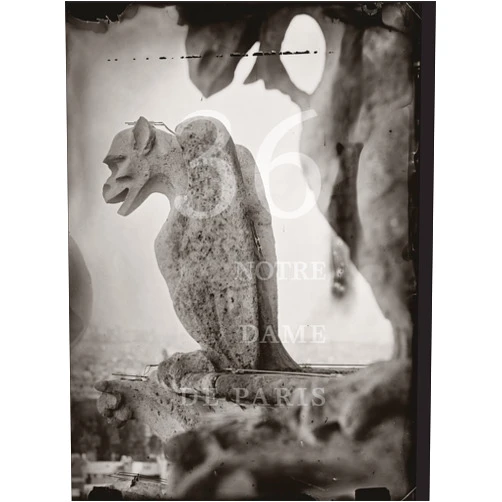 By Tomas van Houtryve (Artist), Pauline Vermare (Contributor), Victor Hugo (Contributor) & 0 more Tomas Van Houtryve: 36 Views of Notre Dame