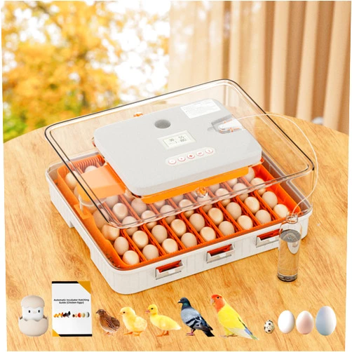 Ouluu 56 Egg Incubator, Automatic Turning & Smart Temp/Humidity Control, Built-in Candler, Plus Hatching Guide – for Chicken, Duck, Quail, Goose, Parrot, Pigeon, Ideal for Farm, Home, Lab, Classroom