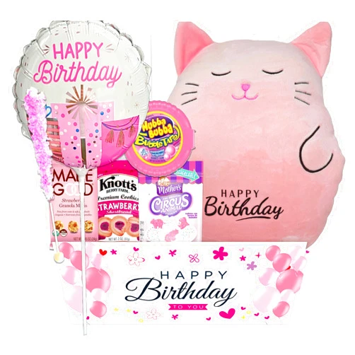 Beyond The Box The Ultimate Birthday Gift Basket for Girls | variety pack with a Happy Birthday Pink Squishy, Balloon Care Package w/snacks & Candy, girl, teenage, Granddaughter