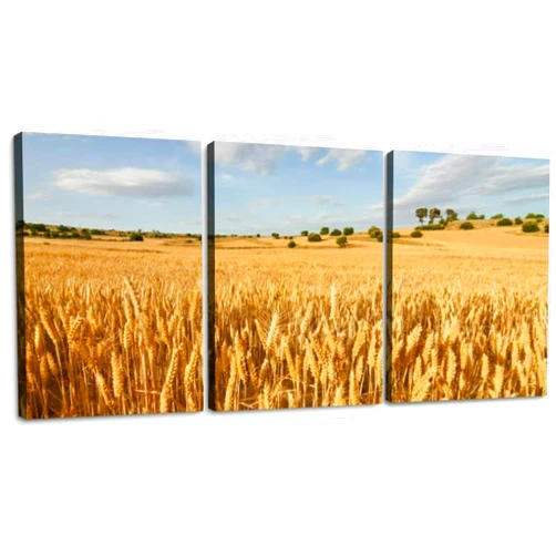 TOOUTEREA Wheat flields 3 Piece Canvas Wall Art for Living Room Bedroom Office Framed Prints Pictures Painting Wall Decor Artwork for Walls Set of 3