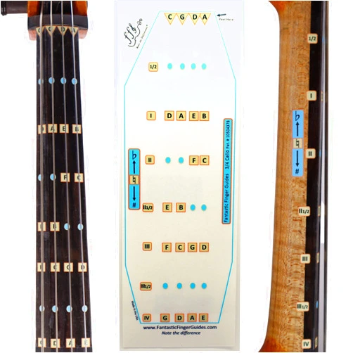 FFG NOTE THE DIFFERENCE Fantastic Finger Guide for Cellos | Stringed Musical Instruments | Fingerboard and Fretboard Stickers for Learning All Notes | Kids/Adult Beginner Cello Finger Guide | 3/4 Size