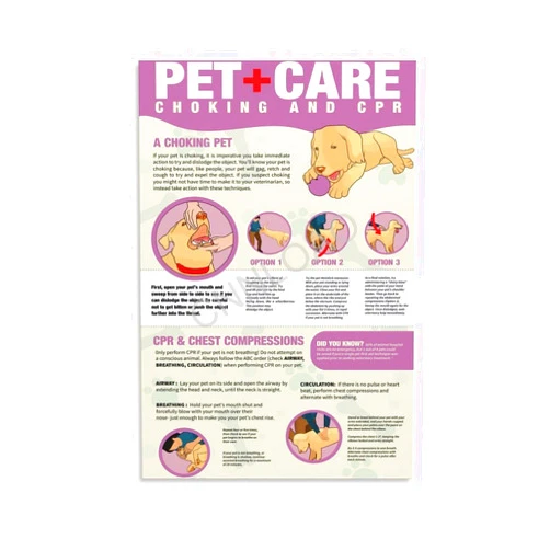 CNNLOAO Save Your Pet with CPR Knowledge Poster Pet First Aid Poster (4) Canvas Poster Bedroom Decor Office Room Decor Gift Unframe-style 08x12inch(20x30cm)