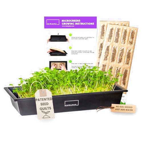 HAMAMA Microgreens Growing Kit - Sprouts Growing Kit, Sprouting Kit - Grow Microgreens Indoor, Microgreens Starter Kit with Microgreens Tray, Organic & Non-GMO Microgreen Seeds【Broccoli & Salad Seeds】