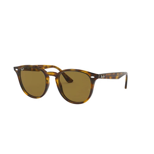 Ray-Ban Rb4259 Round Sunglasses