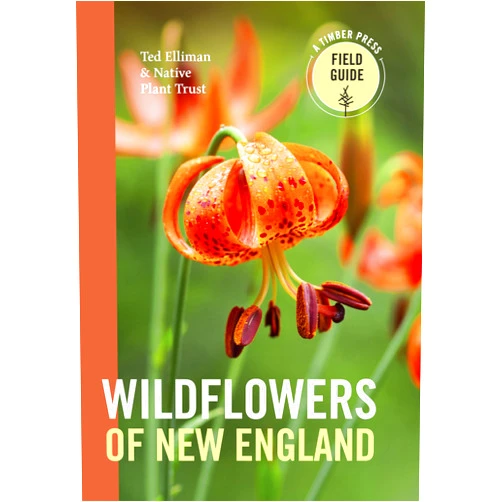 Ted Elliman,Native Plant Trust Wildflowers of New England (A Timber Press Field Guide)