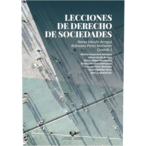 Spanish Edition by Nerea Iráculis Arregui (Collaborator), Aránzazu Pérez Moriones (Collaborator) Lecciones de Derecho de Sociedades