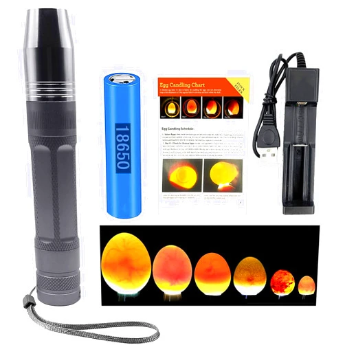 ZZBUY Egg Candler, Egg Incubator Light【2024 Upgraded Charger】,Egg Candler candling Checker Light for Chicken Quail Dark Canary Pigeon All Eggs Battery Powered(Include Egg Candling Guide)