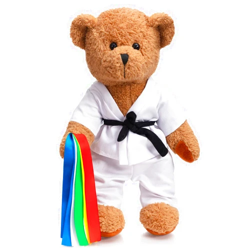 HollyHOME Karate Bear Stuffed Animal Teddy Bear in Karate Uniform Unique Toy Gifts for Kids and Karate Lovers Holiday Birthday Valentine 16 inches