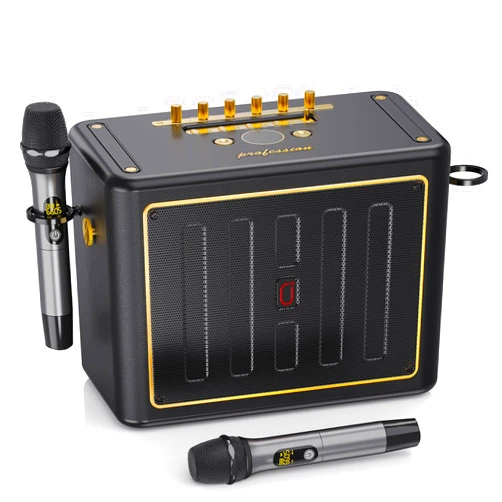 JYX Karaoke Machine for Adults, Portable Bluetooth Singing PA Speaker System with 2 Wireless Mics & Bass/Treble Adjustment, Supports TV Connetion/Bluetooth/USB/TF/AUX for Home Party