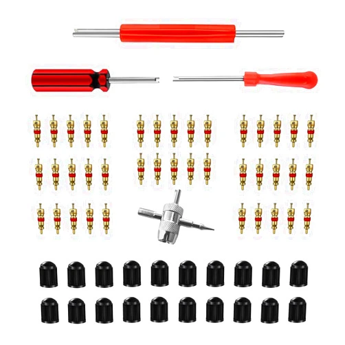 GLSOWEE Tire Valve Stem Puller Installer Tool Kit, 40Pcs Valve Cores & 20Pcs Valve Caps, 2Pcs Single Head Tire Valve Core Remover, 4-Way Valve Tool & Dual Head Puller