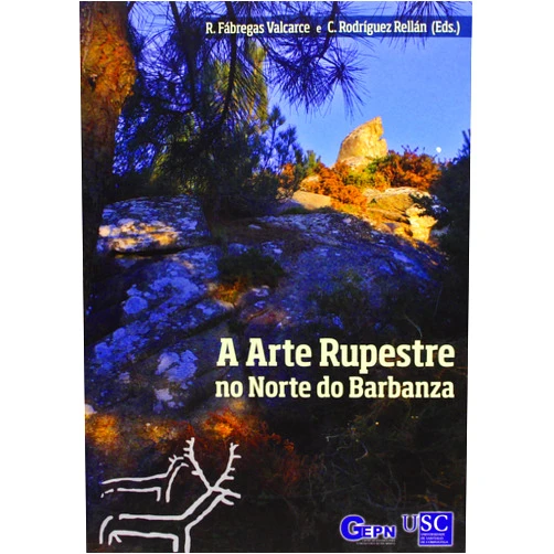Galician Edition by Ramón Fábregas Valcarce (Ed.) (Author), Carlos Rodríguez Rellán (Ed.) (Author) A arte rupestre no norte do Barbanza. Con dvd (Galician Edition)