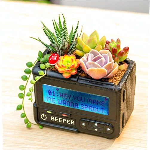 WTBFBY Creative Plant Pot,Cute Resin Ornaments Flower Pots,Plant Holder Decorative Succulent Display Centerpiece for Home Decoration Resin Crafts Storage Box (Black-BB)