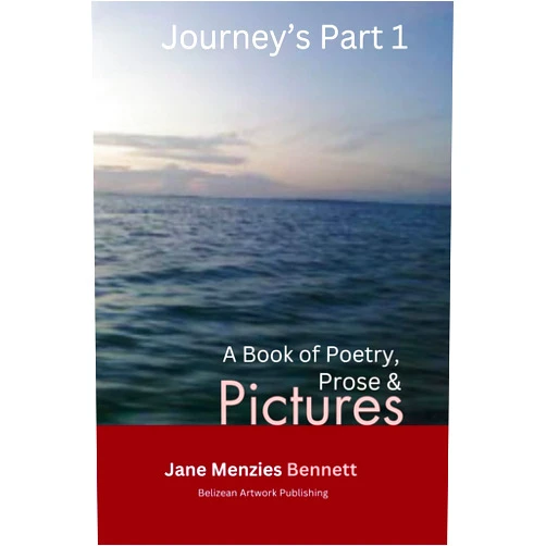 By Jane Bennett (Author) Journeys Part 1: A Book of Poetry, Prose & Pictures