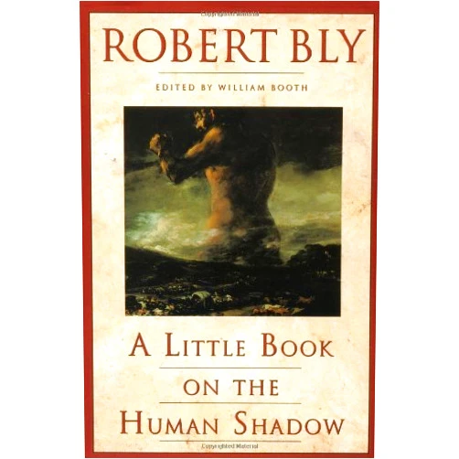 By William editor [Bly, Robert] Booth (Author) A Little Book on the Human Shadow by Robert Bly (1988) Paperback