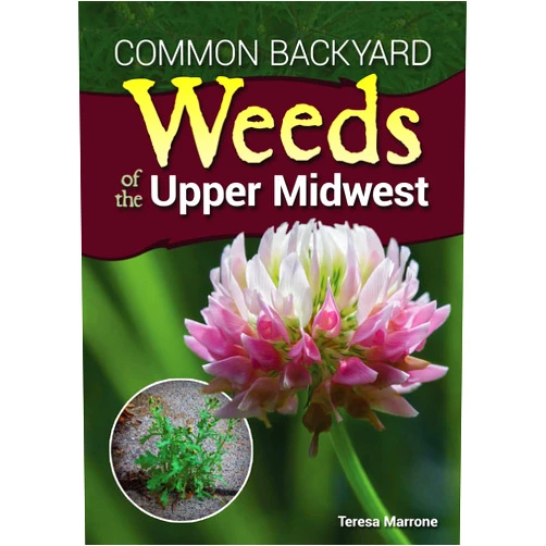 Teresa Marrone Common Backyard Weeds of the Upper Midwest