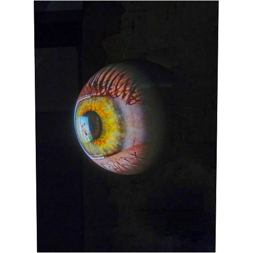 Thomas Häusle,Noam Eclott,Alice Ko,Tony Oursler Tony Oursler: Specular