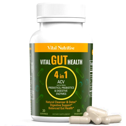 VITAL NUTRITIVE Vital Gut Health 4in1 Formula with Apple Cider Vinegar, Prebiotics & Probiotics, Digestive Enzymes for Strong Immunity Support and Complete Gut and Digestion Support