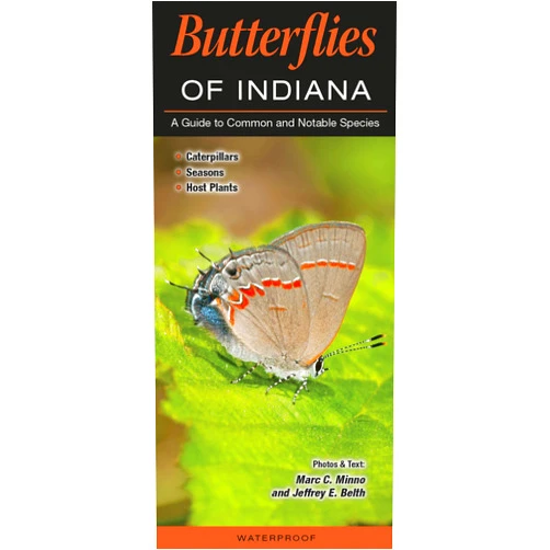By Marc Minno (Author), Jeffrey E Belth (Author) Butterflies of Indiana: A Guide to Common and Notable Species