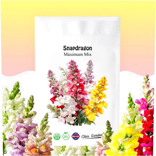 Claix Garden Garden Snapdragon - Maximum Mix - 7,500 Seeds - Mixed Colors, Heirloom Non-GMO USA Grown, Excellent for Pollinators, Annual - Vibrant Flowers for Any Home Garden