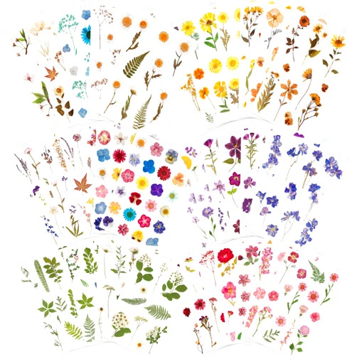 Knaid Pressed Flower Themed Stickers (Assorted 486 Pieces, 36 Sheets) Dried Floral Resin Stickers Decals Botanical Journaling Sticker for Scrapbook Supplies Junk Journal Bullet Journal Planner Laptop