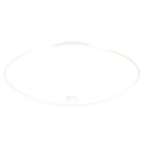 Westinghouse 66242 6624200 Two-Light Semi-Flush-Mount Interior Ceiling Fixture, Finish with White Glass
