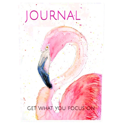 KRISTEN D WILLIAMS JOURNAL: get what you focus on