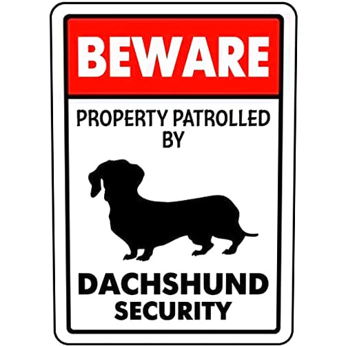 CCPARTON Metal Beware Property Patrolled by Dachshund Security Signs Aluminum Road Tin Signs for Outdoor Coffee Shop bar Club 8x12 Inches