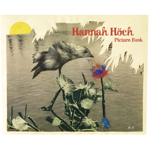 Gunda Luyken,Brian Currid,Hannah Höch Hannah Höch: Picture Book
