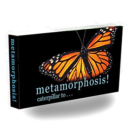 Fliptomania Caterpillar to Monarch Butterfly Metamorphosis Flipbook