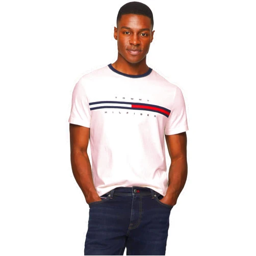 TOMMY HILFIGER Men's Regular Fit Flag Embroidered Crew Neck T-Shirt 2024 Collection, Large, White