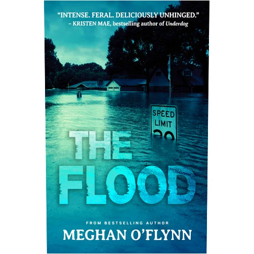 Meghan O'Flynn The Flood (Killer Thrillers)