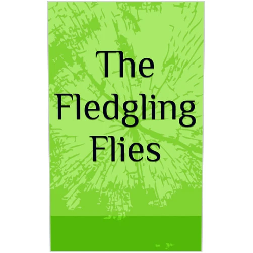 By Elizabeth Gilliland (Author) Format: Kindle Edition The Fledgling Flies