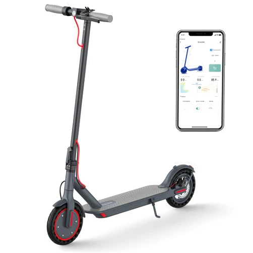 Roinside Electric Scooter - 8.5
