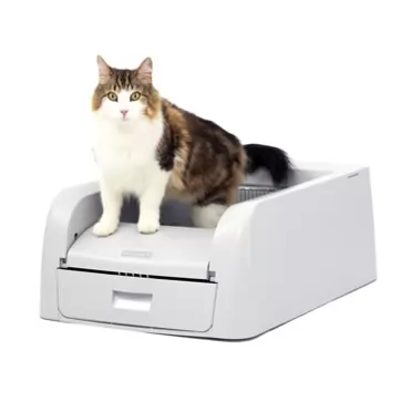 PetSafe ScoopFree Clumping Self-Cleaning Litter Box for Clumping Litter – Superior Odor Control – Never Scoop Litter Again – For Single and Multi-Cat Households