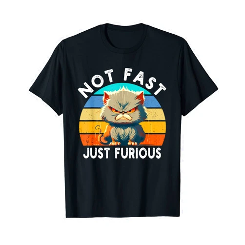 Cat Kitty Lovers Apparel Co Not Fast Just Furious Retro Funny Cat Kitty Lover Sarcastic T-Shirt
