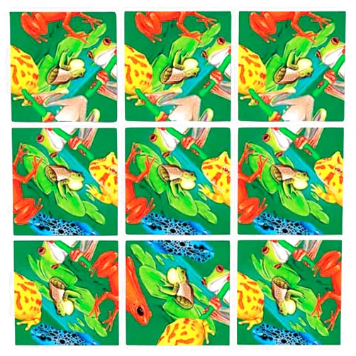 B. dazzle, inc Scramble Squares Frogs 9 Piece Challenging Puzzle - Ultimate Brain Teaser and Mind Game for Young and Senior Alike - Engaging and Creative with Beautiful Artwork - by B.Dazzle
