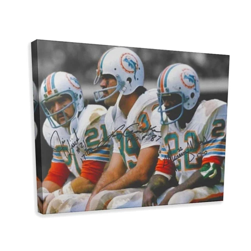 CDAREW Jim Kiick Larry Csonka Mercury Morris Canvas Poster Bedroom Decor Landscape Office Room Decor Gift Frame: 12x18inch(30x45cm)