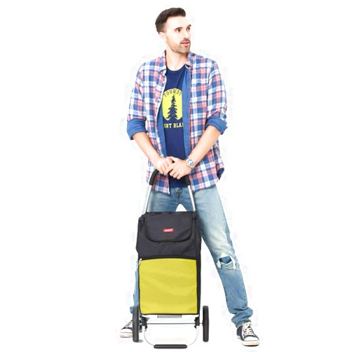 FKDECHE Aluminum Foldable Shopping cart Trolley 50L Capacity Bag a Load-Bearing 75kg seat (Color : Green)