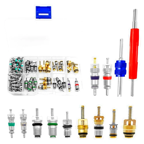 Pleoos 102PCS A/C R12 R134a Car Air Conditioner Valve Core Seal Kit, Refrigeration Tire Valve Stem with Double Head Dual Dismantling Remover Installer Tool Assortment Kit