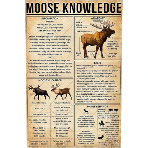 Flyhaw Moose Knowledge Metal Tin Sign Wall Panel Retro Art Decor for Home Bedroom Bar Cafe Farm 8x12 Inch